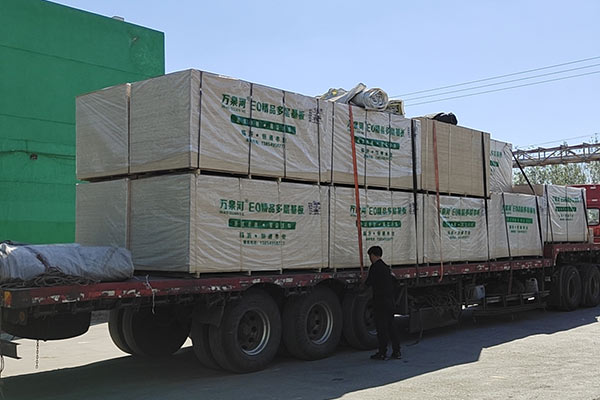 E0���ӻ����b܇(ch��)�l(f��)؛